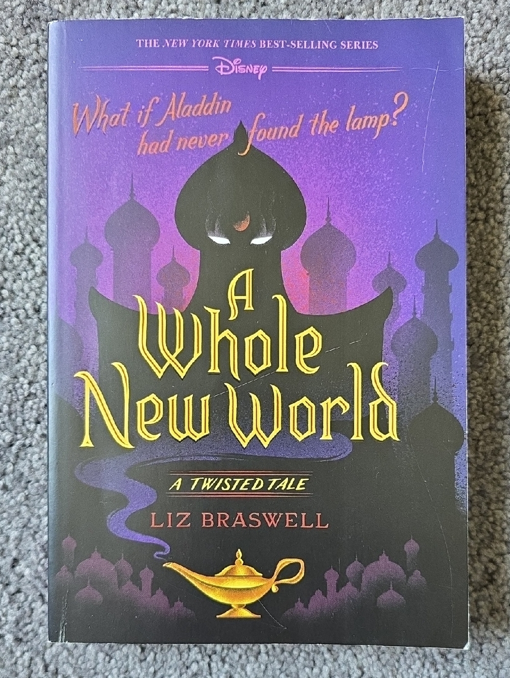 Disney Twisted Tale A Whole New World Book – Aladdin Retelling – Like New